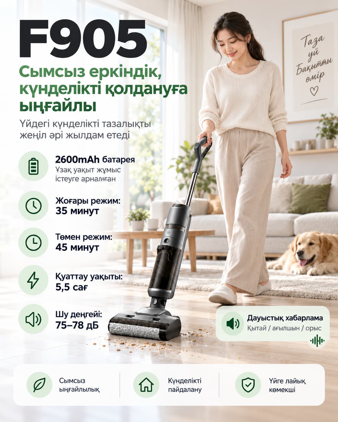 F905 сымсыз жууға арналған шаңсорғыш Тауар туралы толық 6